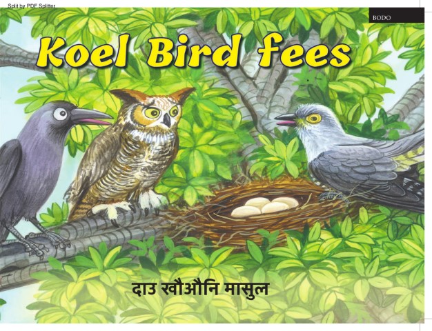 Koel Bird fees